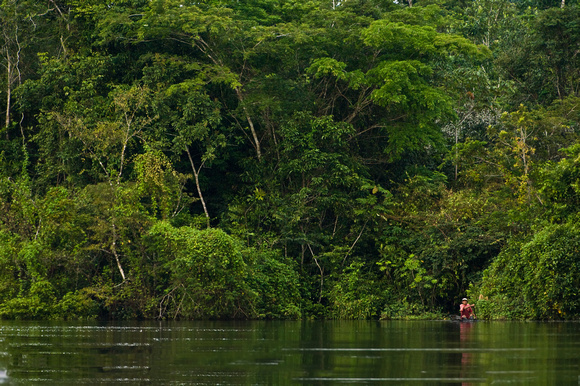 Peruvian Landscape Amazon