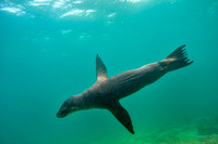 Galapagos 2012