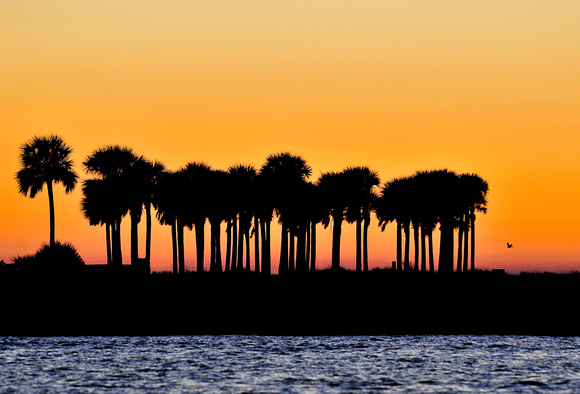 Clearwater Beach  Sunset