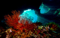 Underwater Raja Ampat, Indonesia