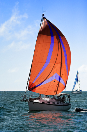 Sailing Orange Assymetrical Spiniker Crusing
