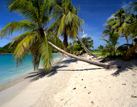Idylic Caribbean Beach Grenadines