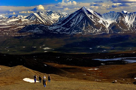 Hiking The Tundra of Denali